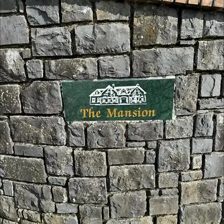 別荘 Tranquil Haven Mansion