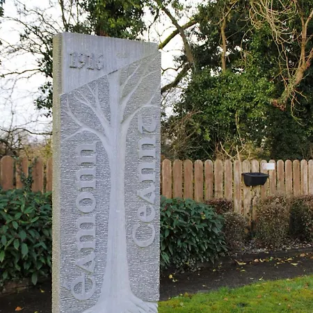 Tranquil Haven Mansion بيت للعطل روسكومون